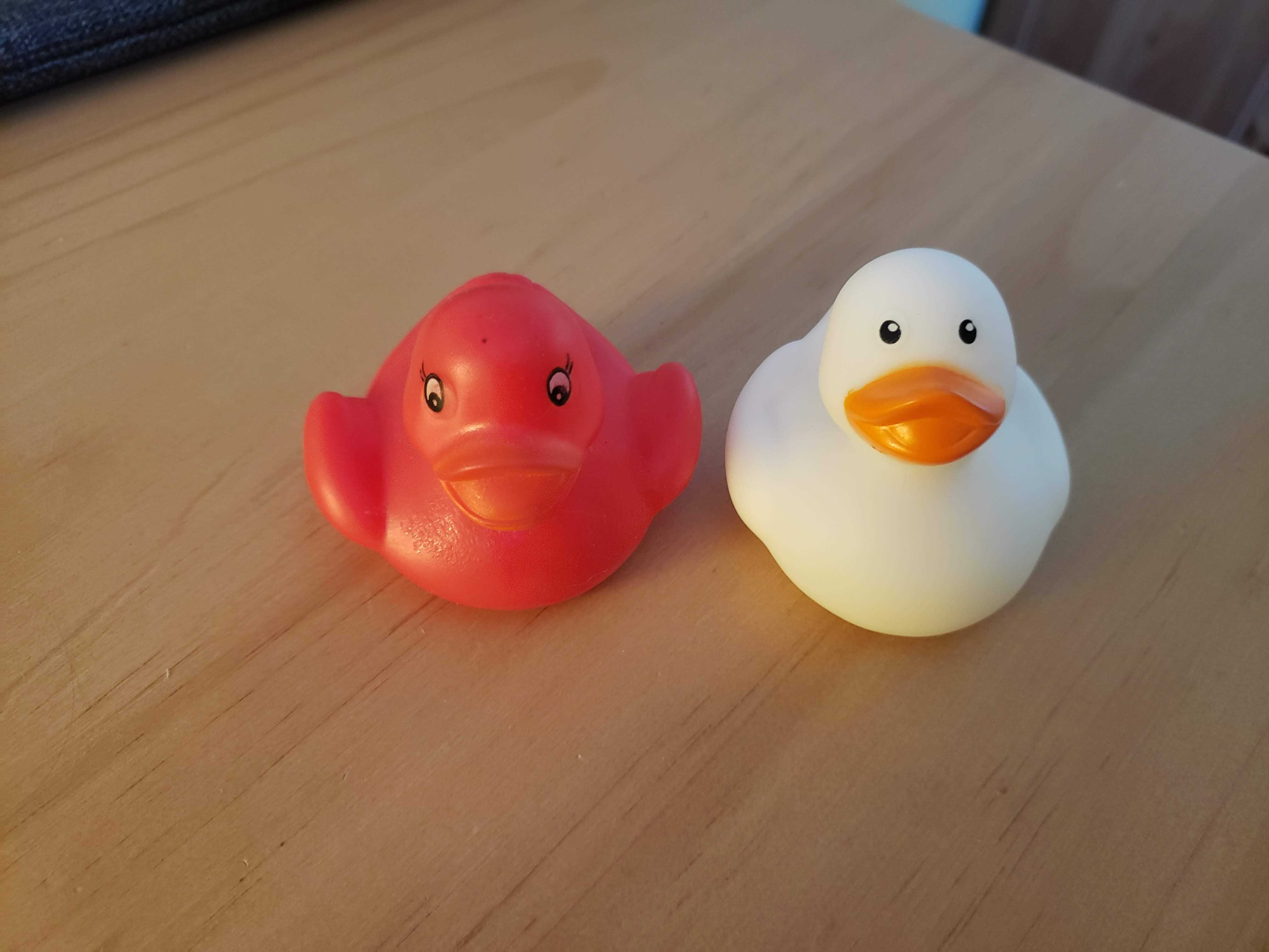 My duck collection